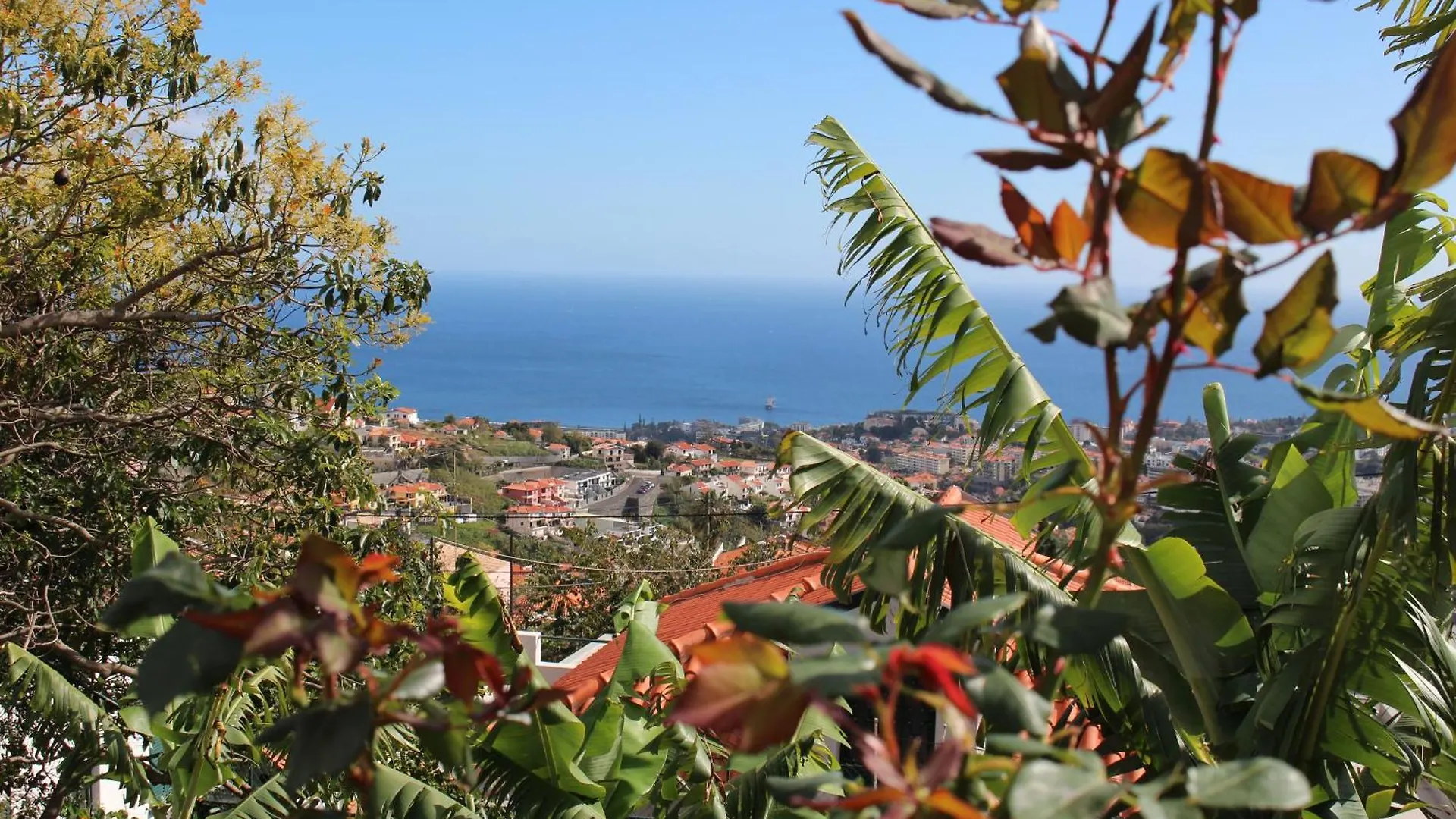 Apartman Alojamento Funchal - Silvestre House Portugália