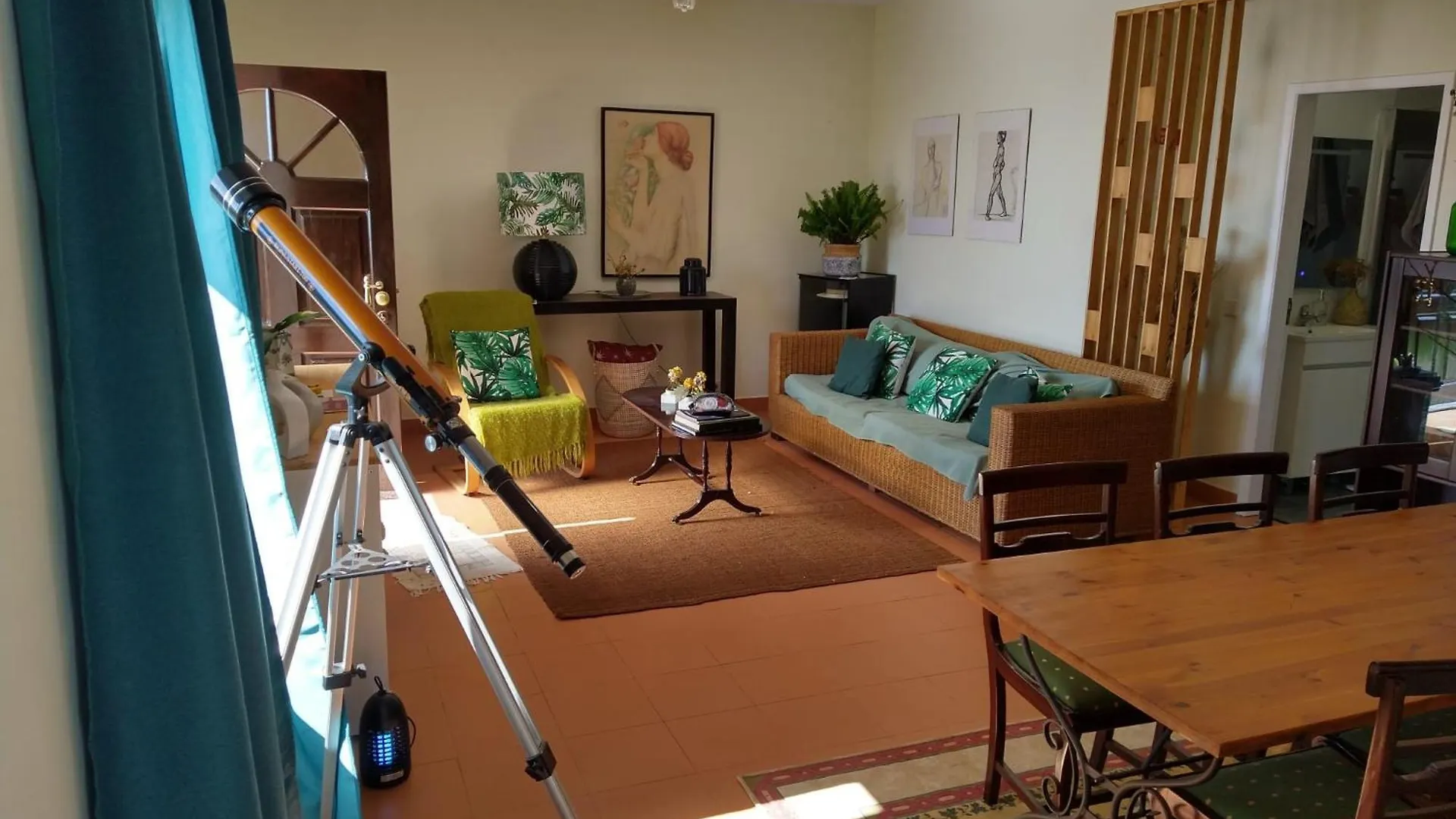 Alojamento Funchal - Silvestre House 0*, פונשל פורטוגל